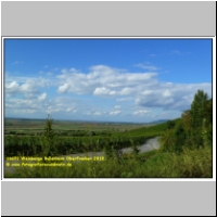 16691 Weinberge Bullenheim Oberfranken 2010.JPG